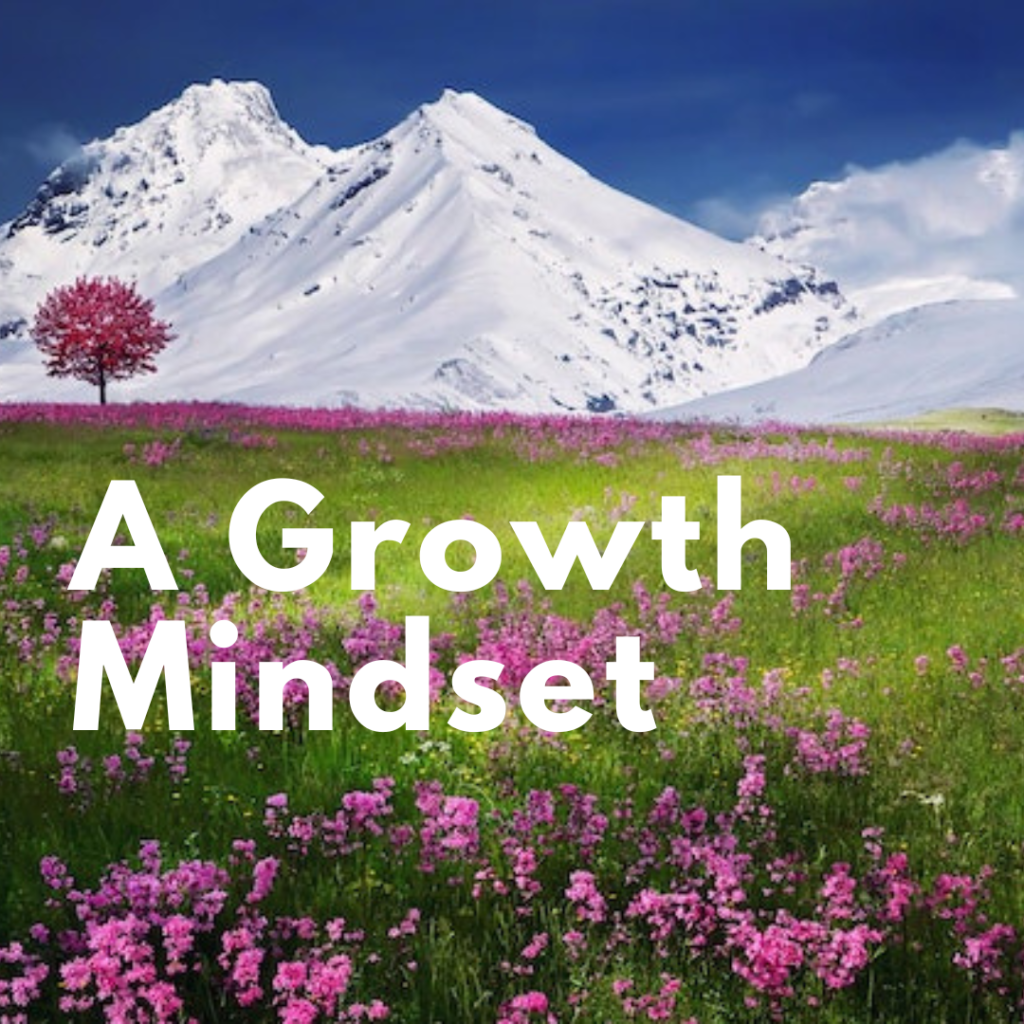 Building A Growth Mindset Will Improve Your Long Term Success.